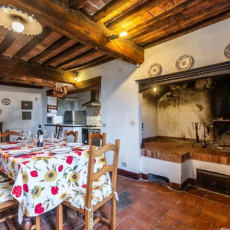 Green Apartment Siena Apartment Siena